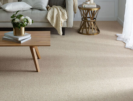 Carpet cleaning of living areas, halls, bedrooms, rugs